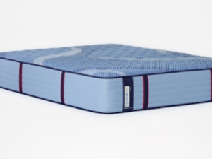 Sealy Dupont II Medium
